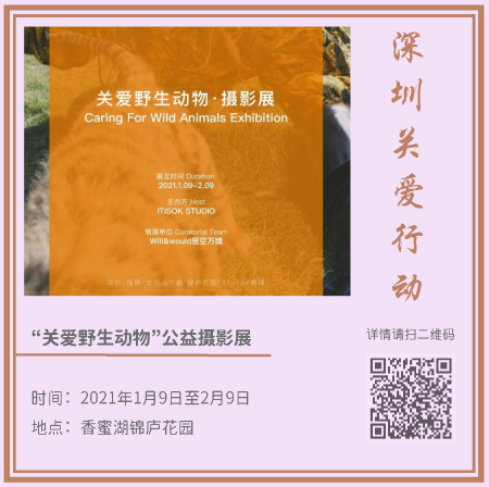 4.藝術(shù)新年_頁面_02.png 4.藝術(shù)新年_頁面_02.png